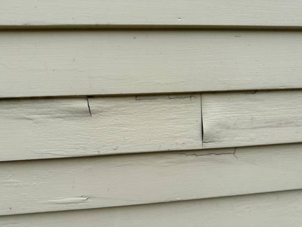 Best Vinyl Siding Installation  in Kalispell, MT